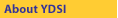 About YDSI
