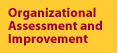 Organizational Assessment and Improvemenr