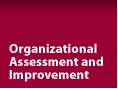 Organizational Assessment and Improvement